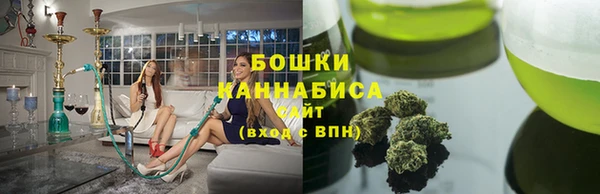 прущие грибы Заволжье