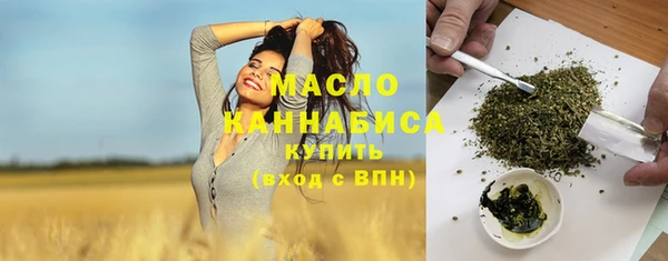 мдма Ельня