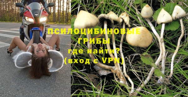мдма Ельня