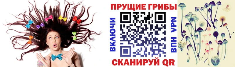 Купить закладки  Сретенск  Галлюциногенные грибы мухоморы 