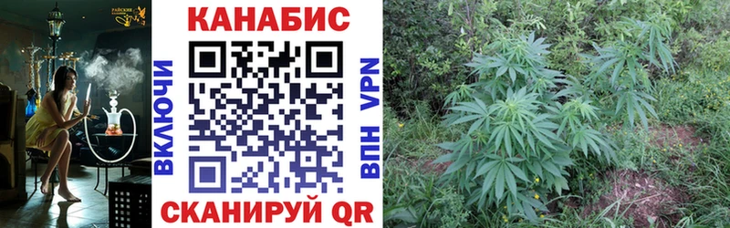 Купить  Сретенск  Конопля SATIVA & INDICA 